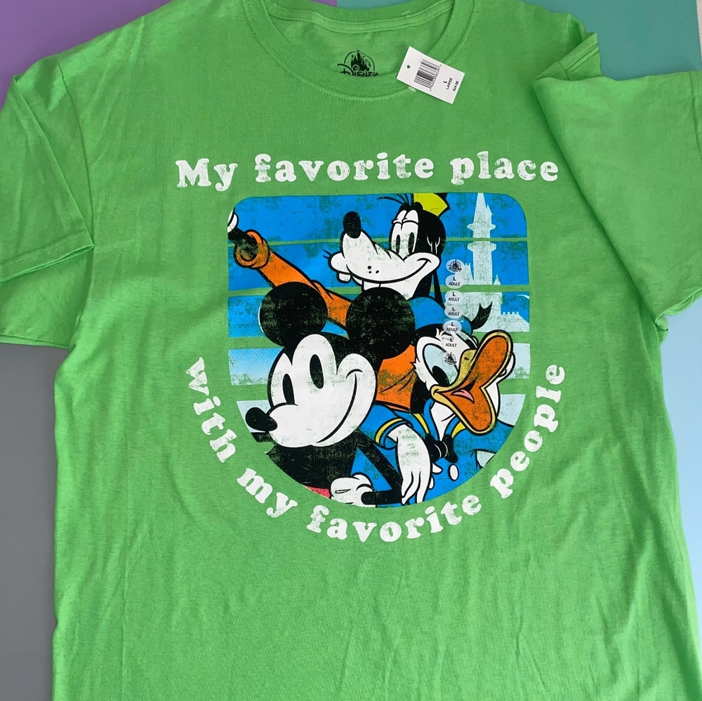 Disney T-Shirt for Adults.